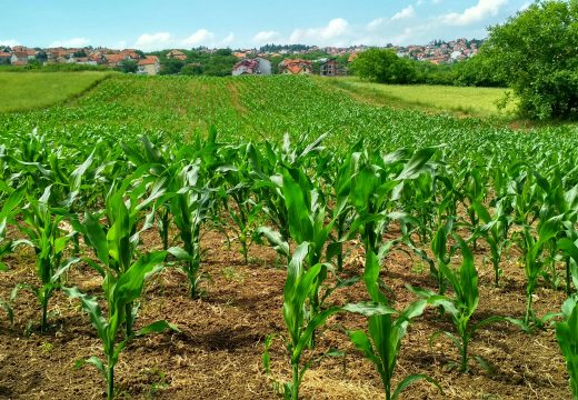 Agriculture and Natural Resources