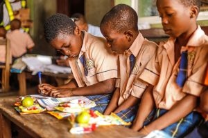 Primary Education Authority